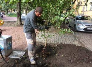 Обустройство детской площадки