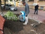 Расчистка участка
